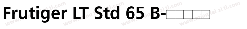 Frutiger LT Std 65 B字体转换